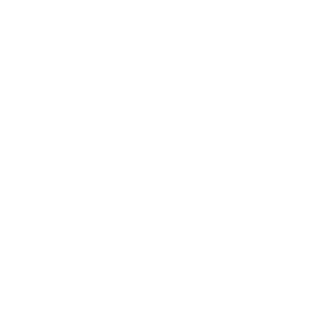 REACH-logo